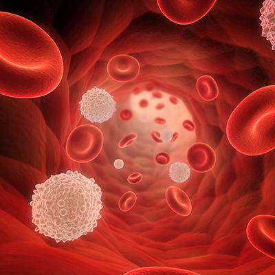 Image of Blood Cells for bloodwork done at Symmetry Health Center